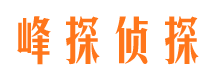 民丰市调查公司